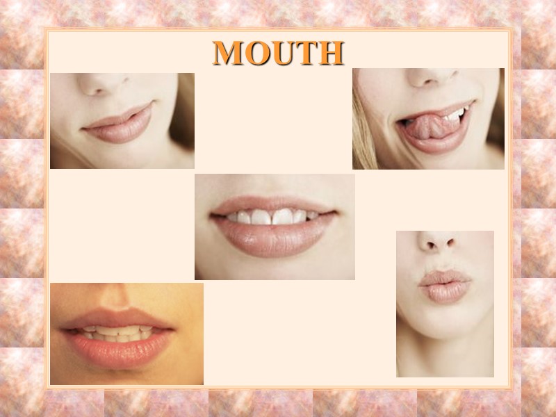 MOUTH